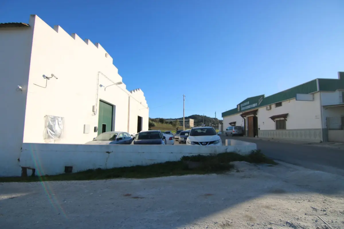Terrain Coín — 1