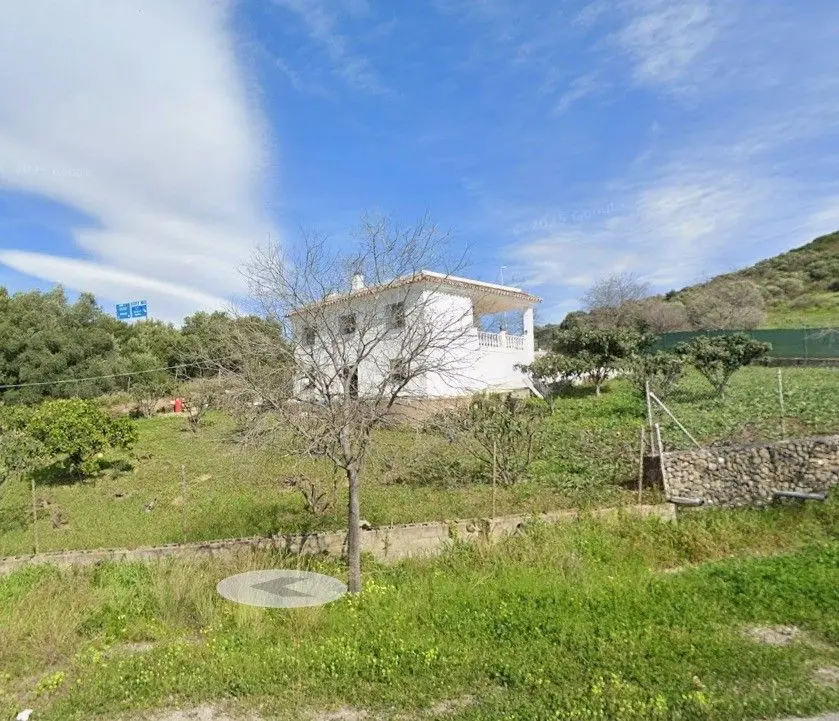 Commerce Estepona — 1