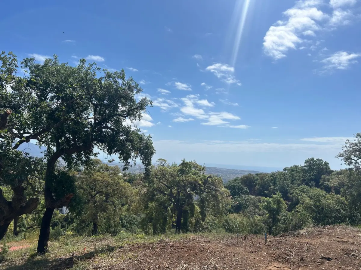 Plot La Mairena — 1