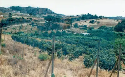 Grundstück Estepona — 3