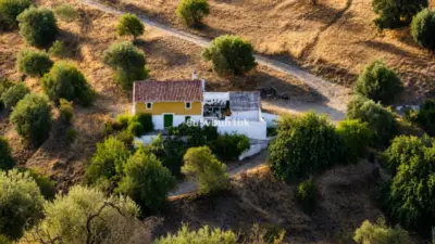 Haus Alora — 3