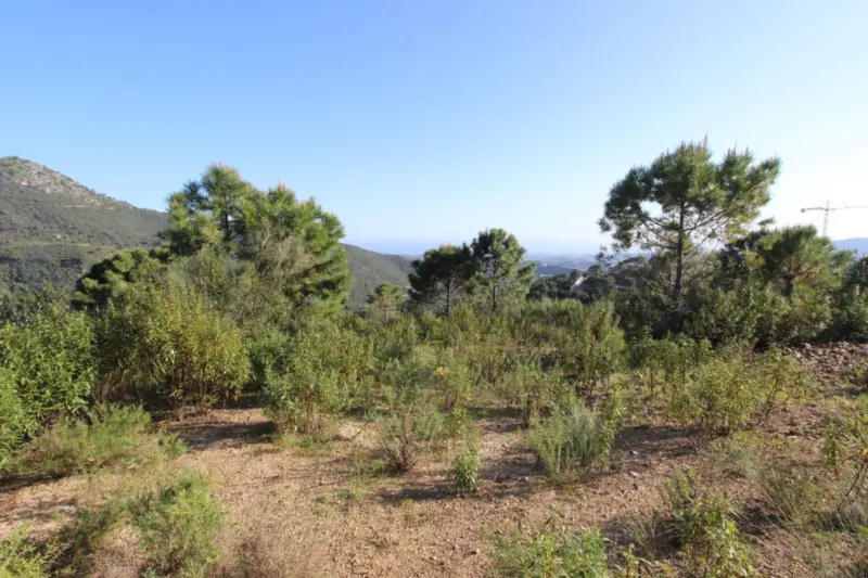 Magnificent 2,275 m² plot in the prestigious Monte... — Costa del Sol · Benahavís