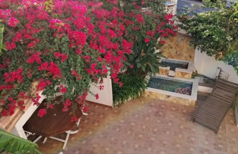 Property — Costa del Sol · Estepona