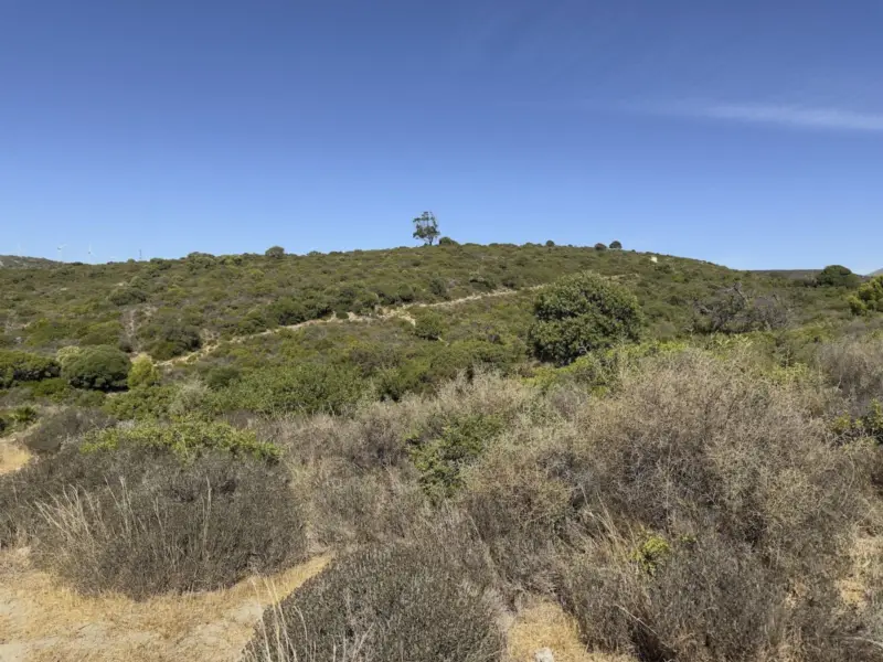 Magnificent 8,023 m² plot located in a privileged... — Costa del Sol · Casares