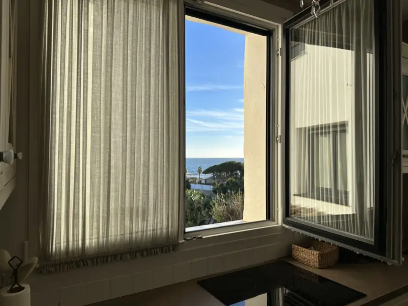 Property — Costa del Sol · Puerto Banús