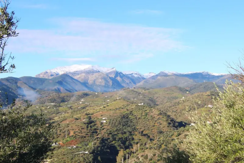 Property — Costa del Sol · Tolox