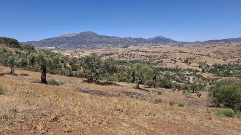 Plot for sale in , Coin. Regarding property dimens... — Costa del Sol · Coín