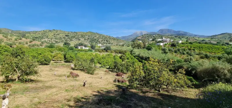 Property — Costa del Sol · Tolox