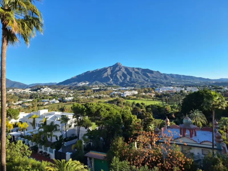Property — Costa del Sol · Nueva Andalucía