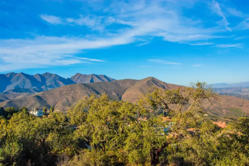 Property — Costa del Sol · La Mairena