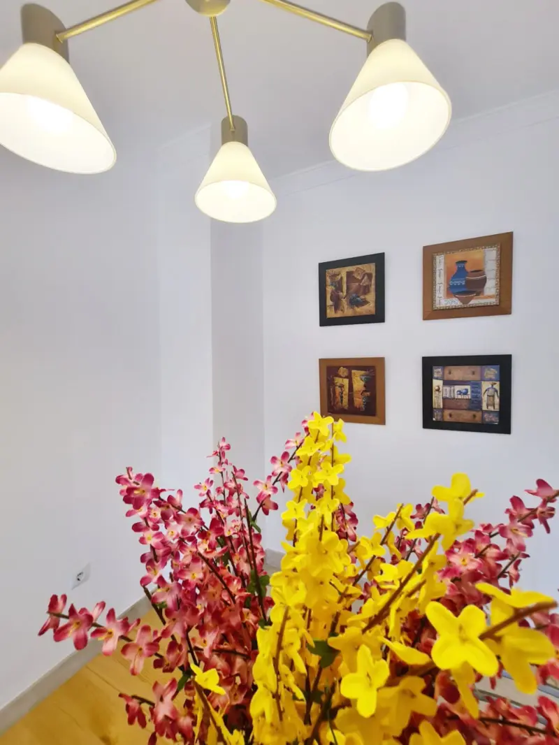 Property — Costa del Sol · Elviria