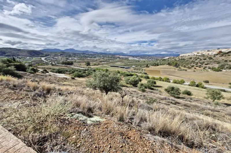 Property — Costa del Sol · Coín