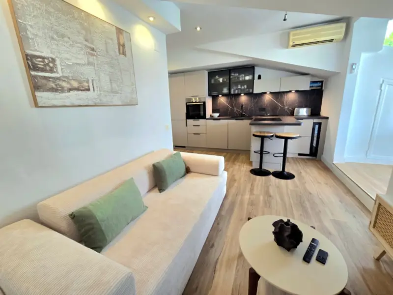 Property — Costa del Sol · The Golden Mile