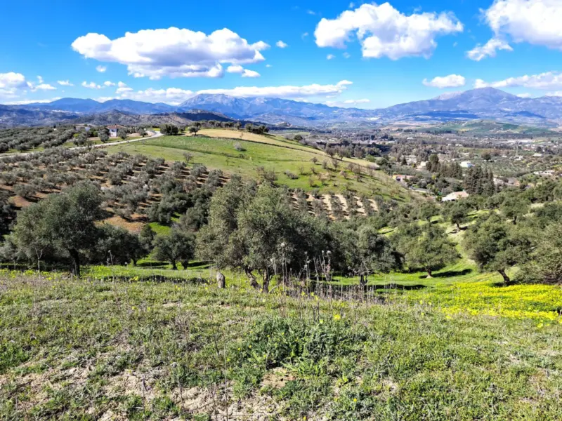 Property — Costa del Sol · Coín