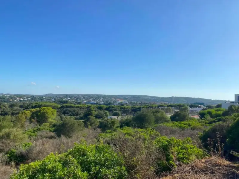 At the heart of Sotogrande, within the prestigious... — Costa del Sol · Sotogrande