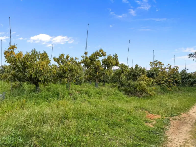 Property — Costa del Sol · Sotogrande