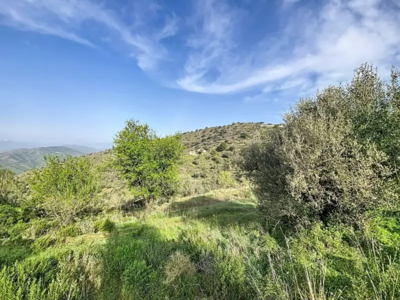 Beautiful rustic land for sale located in the area... — Costa del Sol East · Vélez-Málaga
