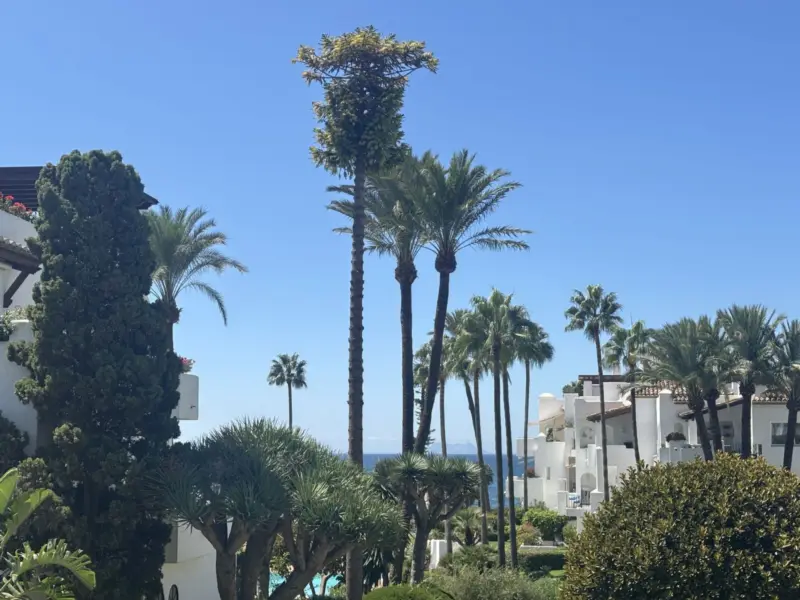 Renovated Beachfront Apartment with partial Sea Vi... — Costa del Sol · Estepona