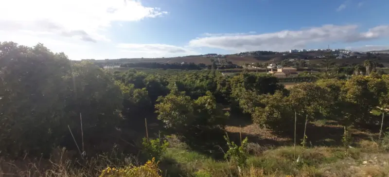 Property — Costa del Sol · Estepona