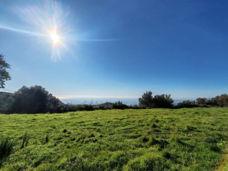 Property — Costa del Sol · Marbella